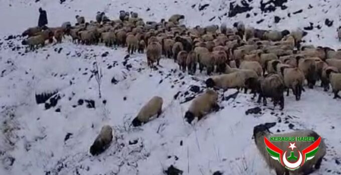 Yaylacılar Köylerine Dönüyor