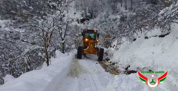 Giresun’da Kar Yağışı Nedeniyle 233 Köy Yolu Ulaşıma Kapandı