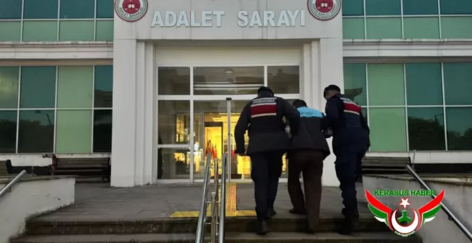 Jandarma’dan; Yağlıdere’de 1 Tutuklama