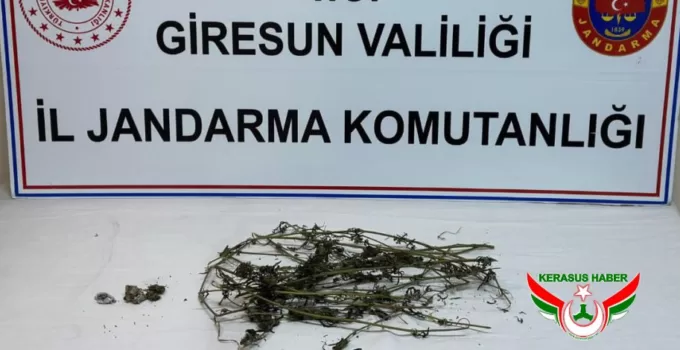 Jandarma’dan; Yağlıdere’de 3 Tutuklama