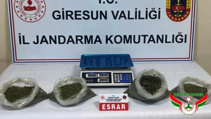 Jandarma’dan; Bulancak Kovanlık’ta Uyuşturucu Operasyonu